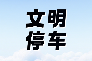 太原市小店区：文明停车齐发力，商圈通行焕新颜